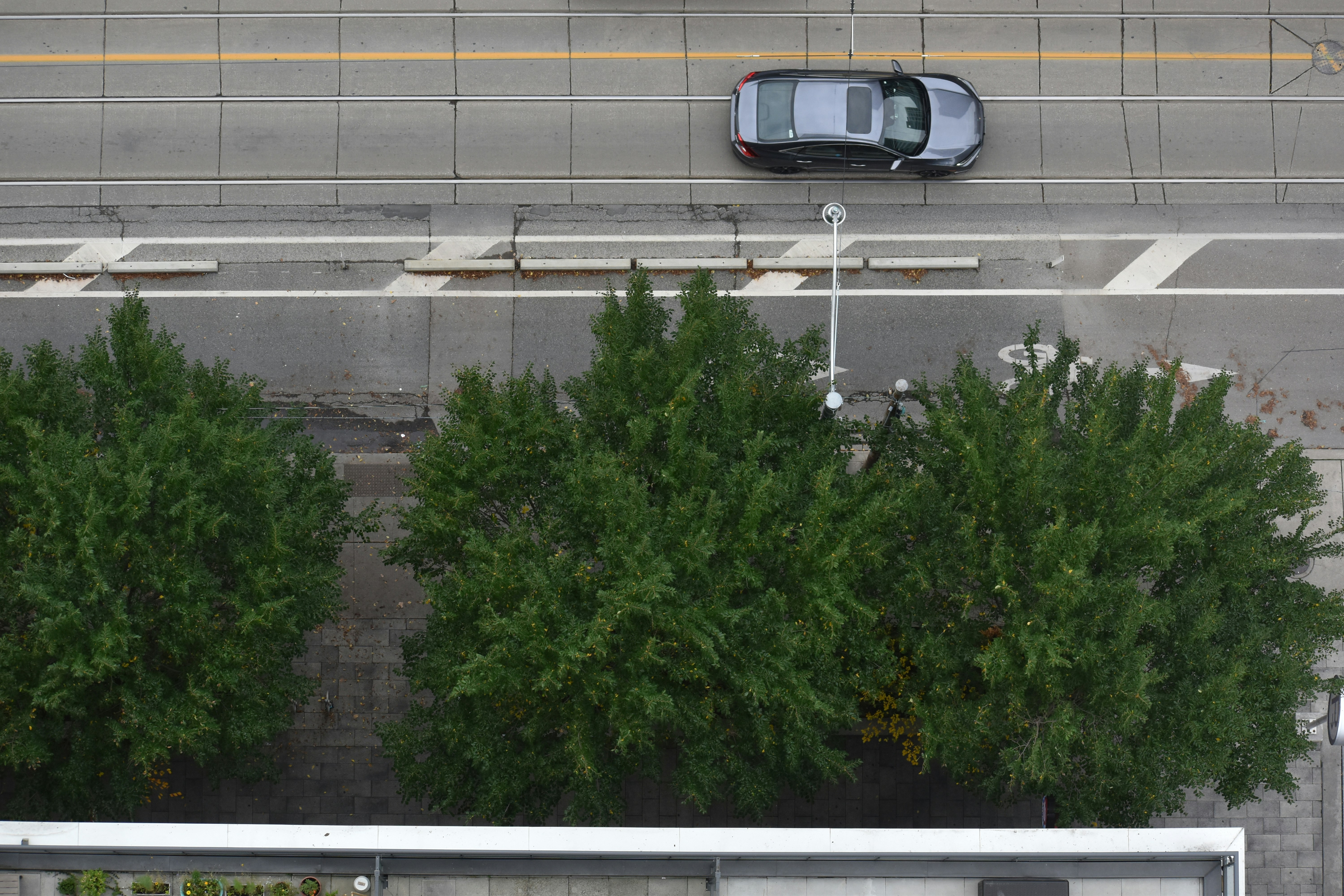 Acompanhamento em tempo real